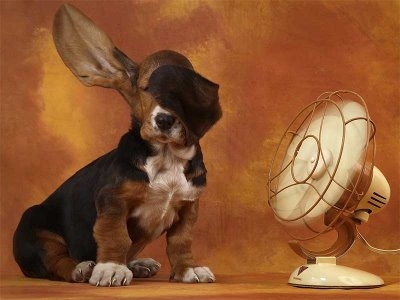 Anticípate al calor. Una buena revisión de tu aire acondicionado y no te cogerá por sorpresa. 